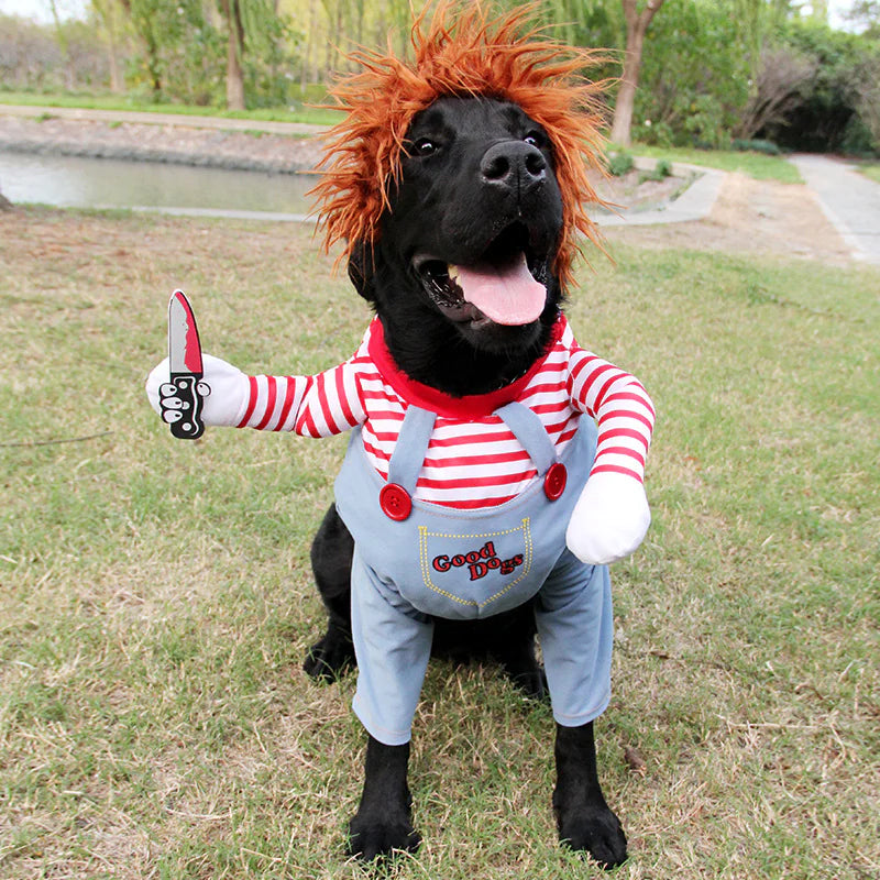 Pet Costume Cosplay!