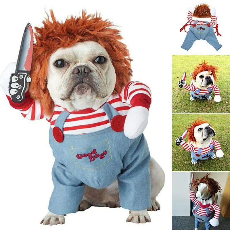 Pet Costume Cosplay!