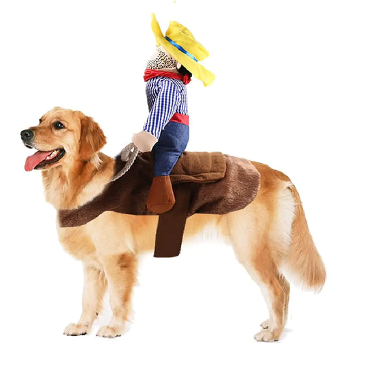 Halloween Cowboy Dog Cat