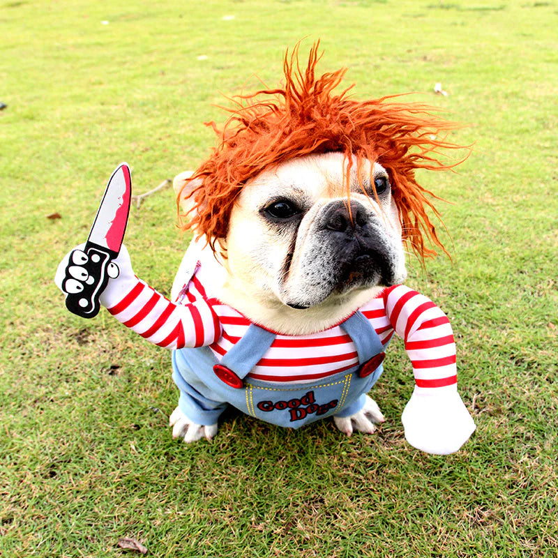 Pet Costume Cosplay!