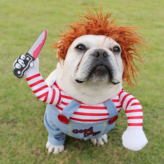 Pet Costume Cosplay!