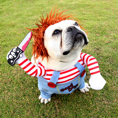 Pet Costume Cosplay!
